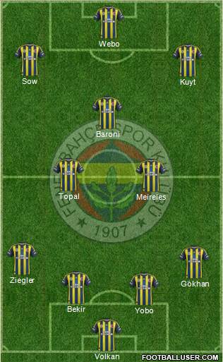 Fenerbahçe SK Formation 2013
