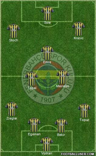Fenerbahçe SK Formation 2013