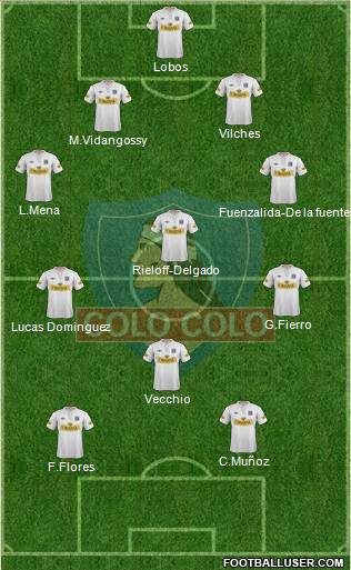 CSD Colo Colo Formation 2013