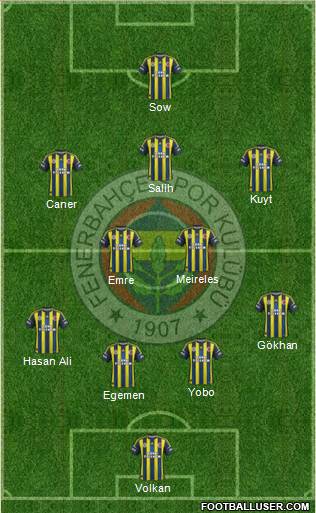 Fenerbahçe SK Formation 2013