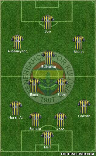 Fenerbahçe SK Formation 2013