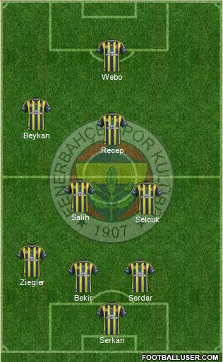 Fenerbahçe SK Formation 2013