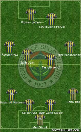 Fenerbahçe SK Formation 2013