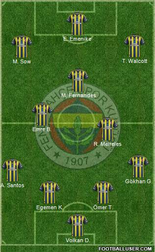 Fenerbahçe SK Formation 2013