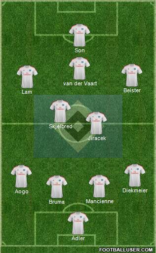 Hamburger SV Formation 2013
