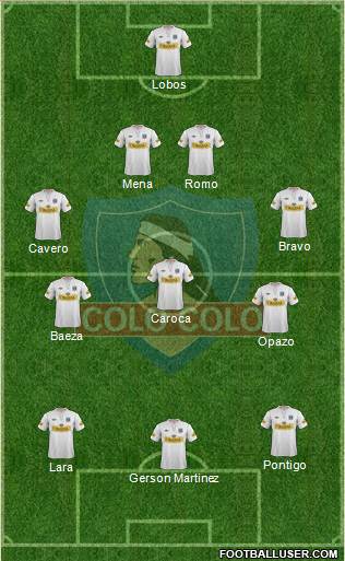 CSD Colo Colo Formation 2013