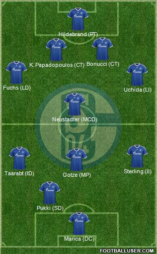 FC Schalke 04 Formation 2013