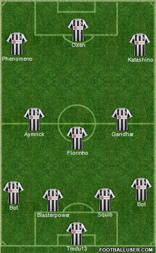 Newcastle United Formation 2013