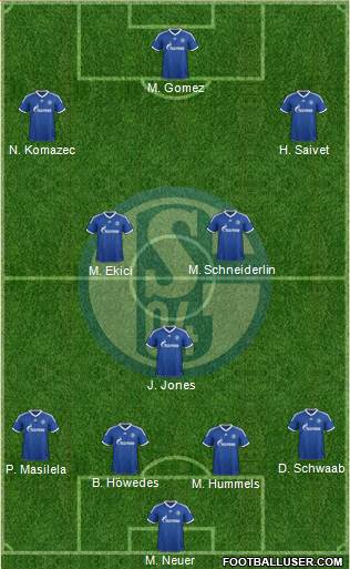 FC Schalke 04 Formation 2013