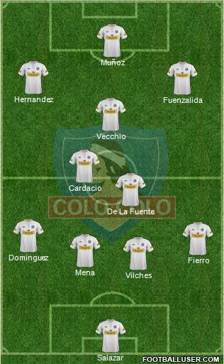 CSD Colo Colo Formation 2013