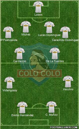 CSD Colo Colo Formation 2013
