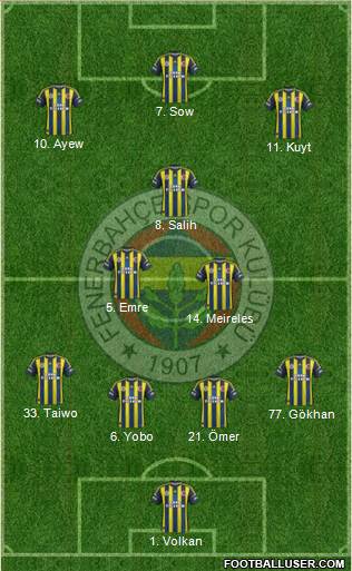 Fenerbahçe SK Formation 2013