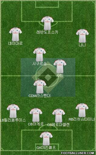 Hamburger SV Formation 2013