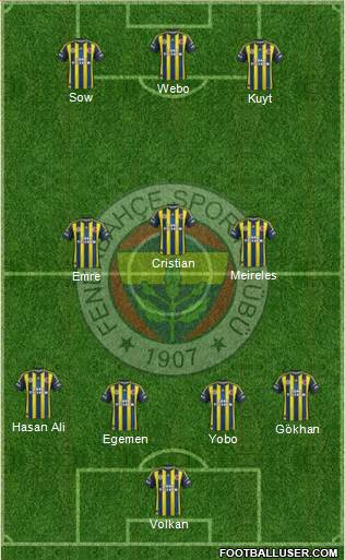 Fenerbahçe SK Formation 2013