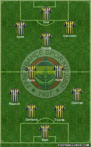 Fenerbahçe SK Formation 2013