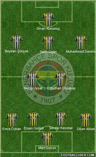 Fenerbahçe SK Formation 2013