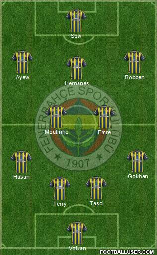 Fenerbahçe SK Formation 2013