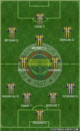 Fenerbahçe SK Formation 2013