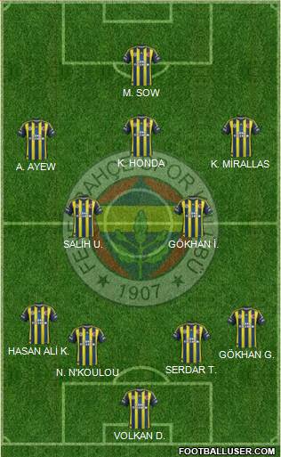 Fenerbahçe SK Formation 2013