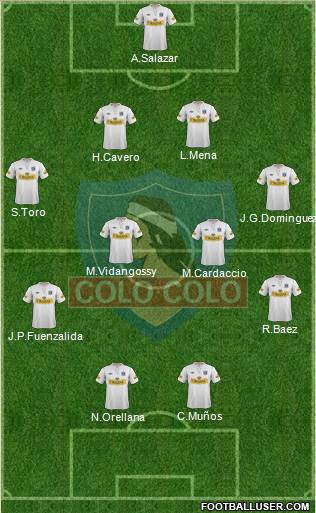 CSD Colo Colo Formation 2013