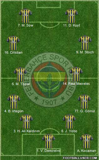 Fenerbahçe SK Formation 2013