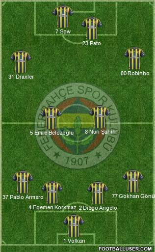Fenerbahçe SK Formation 2013