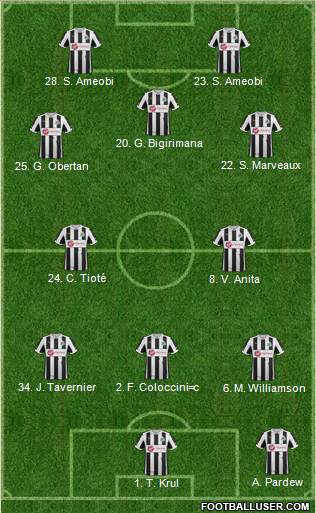 Newcastle United Formation 2013