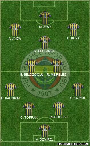Fenerbahçe SK Formation 2013
