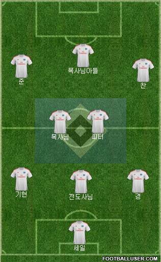 Hamburger SV Formation 2013