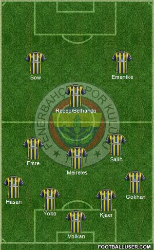 Fenerbahçe SK Formation 2013