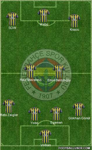 Fenerbahçe SK Formation 2013