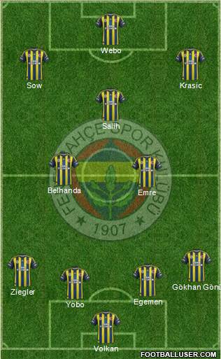 Fenerbahçe SK Formation 2013