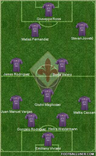 Fiorentina Formation 2013