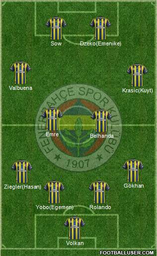 Fenerbahçe SK Formation 2013