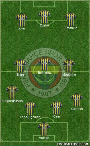 Fenerbahçe SK Formation 2013
