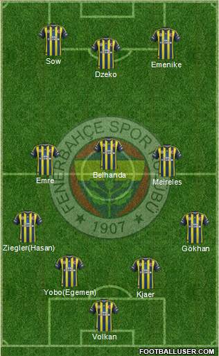 Fenerbahçe SK Formation 2013