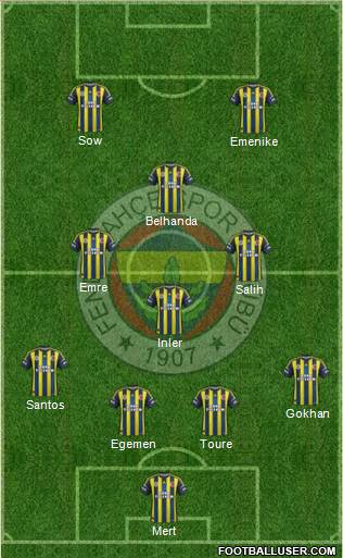 Fenerbahçe SK Formation 2013