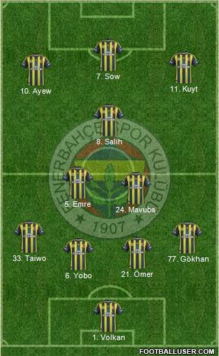 Fenerbahçe SK Formation 2013