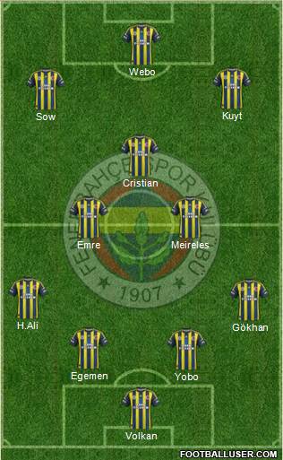 Fenerbahçe SK Formation 2013