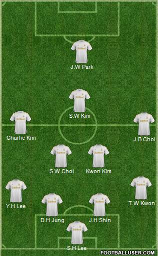 Swansea City Formation 2013
