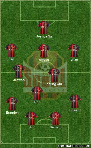 FC Seoul Formation 2013