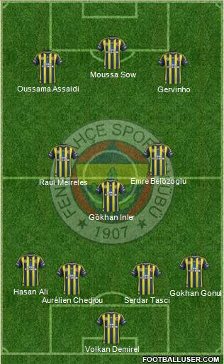 Fenerbahçe SK Formation 2013