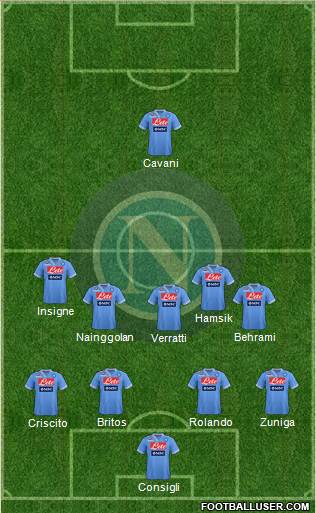 Napoli Formation 2013