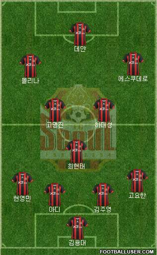 FC Seoul Formation 2013