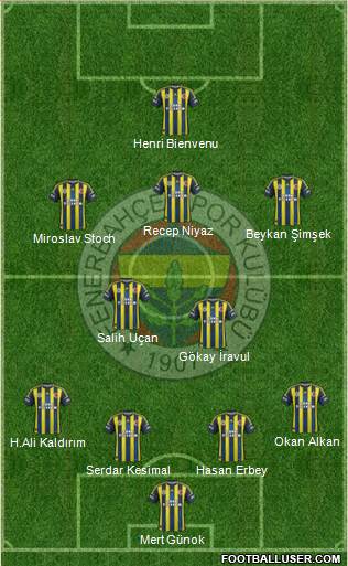 Fenerbahçe SK Formation 2013