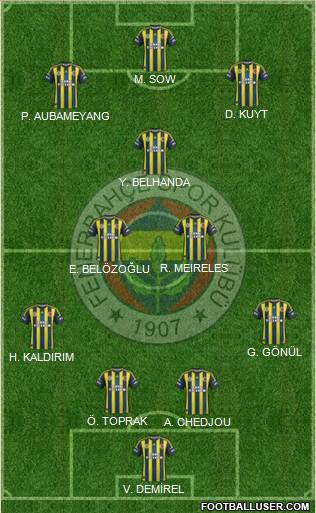 Fenerbahçe SK Formation 2013