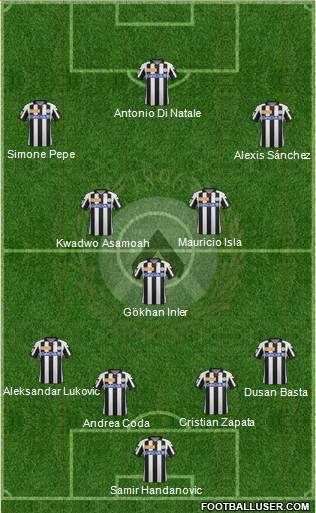 Udinese Formation 2013