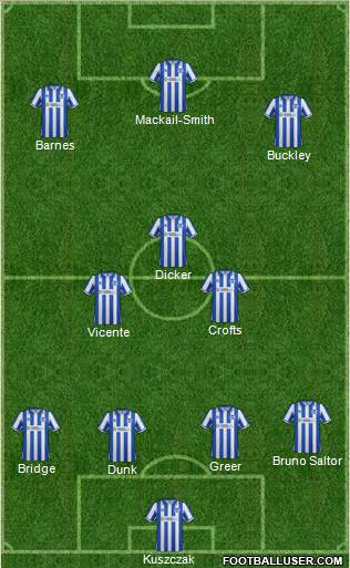 Brighton and Hove Albion Formation 2013