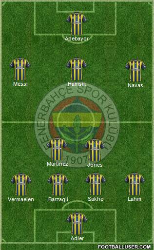 Fenerbahçe SK Formation 2013