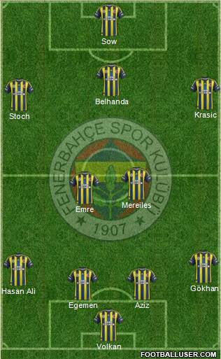 Fenerbahçe SK Formation 2013